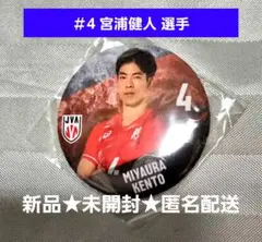新品 2026 バレーボール 男子日本代表 缶バッジ 宮浦健人選手