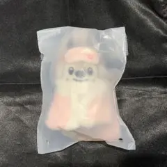 スキズ 韓国 ペンミ SKZOO ぬいぐるみ 10cm バンチャン　ウルフチャン