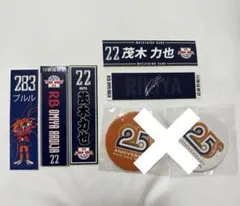 Item thumbnail for item bf1d811c-2fe2-425f-a4c2-dab5ef2c7630