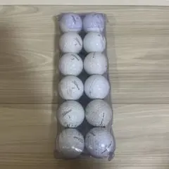 Titleist ロストボール 10個セット