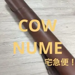 Item thumbnail for item c3858528-1323-4edf-b553-ea5f8bcd1dc4