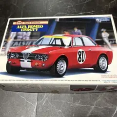 u*e様 GUNZE SANGYO Alfa Romeo 1750GTV 1/2のサムネイル