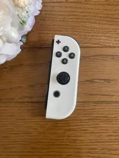 Nintendo Switch コントローラー ホワイト　ジャンク品