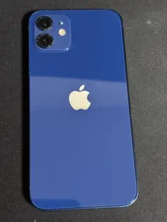 Apple iPhone12 A2402 ジャンク品