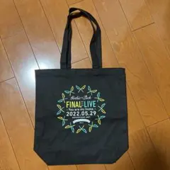 Item thumbnail for item a6303843-579b-47bf-8eac-2ab2fd2bbd6d