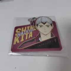 ハイキュー!!一番くじ〜最強の挑戦者〜H賞 北信介