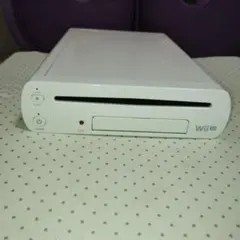 じっくり絵心教室　wiiu本体 32GB　白　マインクラフト