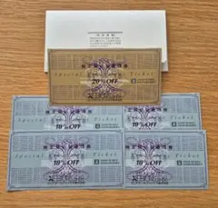 ゼビオホールディングス 株主優待券