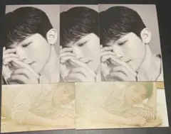 SEVENTEEN Your Choice ミニカード ウジ セット