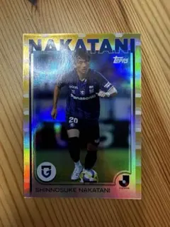SHINNOSUKE NAKATANI 47/50