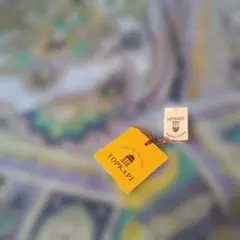 Item thumbnail for item 354b9bed-7e2b-4954-b5fb-d9791daaf1b2