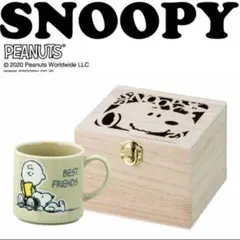 桃様専用！南部鉄器 岩鋳 SNOOPY (茶屋)急須＆急須敷 - メルカリ