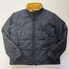 珍品 Patagonia ダウンジャケット グレー