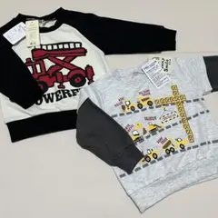 Item thumbnail for item 495e0324-4be3-4569-b876-c7f80832fd5b