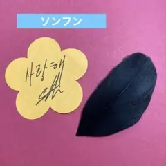 ENHYPEN 落下物　ソンフン　金テ50cm