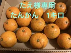 たえ様専用　たんかん（小玉）