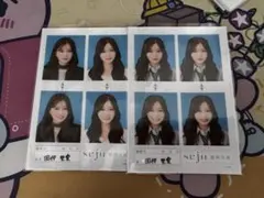 田中埜愛 seju 証明写真　seju せじゅ 証明写真 vol.2