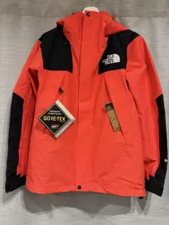 【未使用】THE NORTH FACE マウンテンジャケット NP61800 S