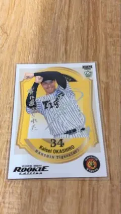 Item thumbnail for item dea94d68-f41c-4583-bc31-c77edf211fa4