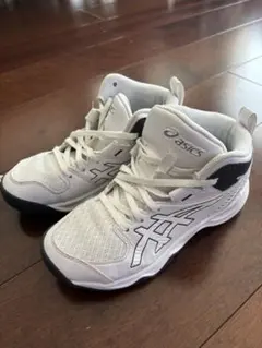 【人気色】asics バスケットボールシューズ ダンクショットMB10 バッシュ