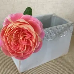 ⭐️ともちん様専用   白い花器