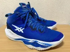 ★ASICS NOVA SURGE 2 アシックスノヴァサージ 2 25cm★