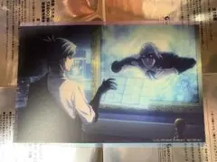 カルナイ タブナイ クリアカード