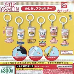 日清カップヌードル めじるしアクセサリー 全6種コンプリート