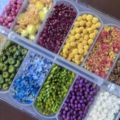 ドライフラワー　プリザーブドフラワー　花材 詰め合わせ　②