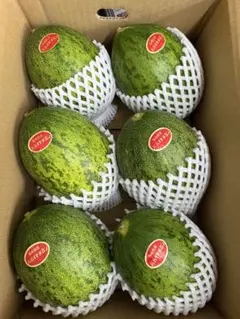 産地直送！甘いパパイヤメロン❗️甘くて美味しい❗️6玉入りのサムネイル