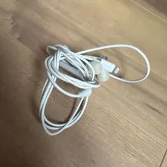 ホワイト Lightning イヤホンケーブル