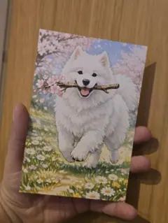 Item thumbnail for item ab8bad2f-e9f5-4705-ab79-b509c5c836da