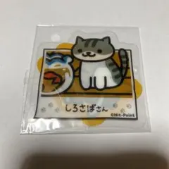 Item thumbnail for item dc834ae3-b6ee-42c9-af32-2a8eb521cf16