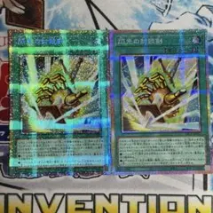 No.2806 アーコレ プリシク 閃光の封殺剣 2枚