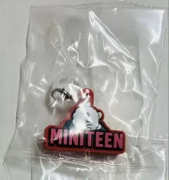 SEVENTEEN MINITEEN ミニティーン ウジ