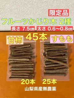 Item thumbnail for item 8771d25c-76a3-4dad-b149-bd5952722f09