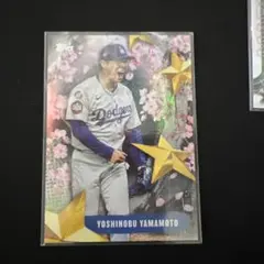 Item thumbnail for item e18d7064-3872-48b8-b529-0db99c2ea670