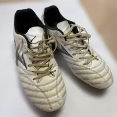 Item thumbnail for item e2466ce1-8923-48af-8efc-b1da327044bd