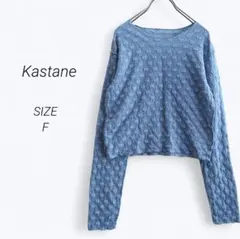 a3730▶カスタネ　フラワージャガードプルオーバー【F】ブルー