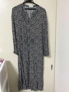 Item thumbnail for item 45d3632c-609e-4754-99af-7d2ba67af054