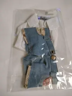 Item thumbnail for item 54a583ac-f1c5-492f-9295-07e54f38682f