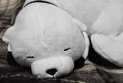 Item thumbnail for item f8d8cd8a-2d2f-47c2-a27e-198d9cbd2282