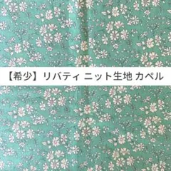 【希少・大人気】リバティ カペル ニット生地 Liberty 3点セット