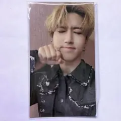 straykids スキズ ハンジソン HAN scars 封入