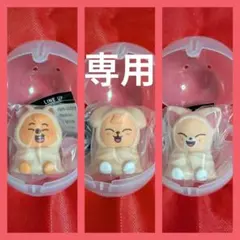 ＊p-men様専用＊StrayKids SKZOO ライトマスコット 3体セット