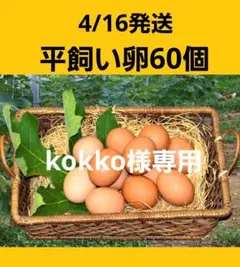 平飼い卵60個4/16常温発送kokko 様専用