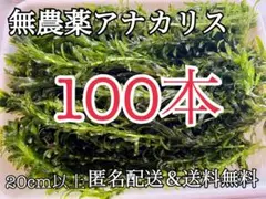 にゃま様 リクエスト 2点 まとめ商品