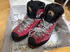 Item thumbnail for item 8bece549-59ee-4cc7-96ca-c85034cff4a4