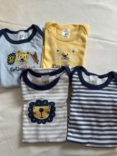 Item thumbnail for item ab452005-6272-48d3-92da-cf405c6d4bb4