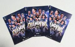 長崎ヴェルカ B1優勝記念ステッカー３枚のサムネイル